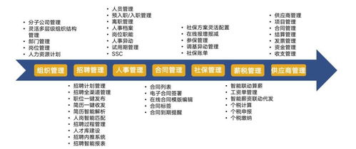 超级hr必备的数字化人力资源工具 博尔捷dhrsaas之组织管理