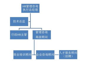 人力资源管理咨询公司组织架构及岗位职责