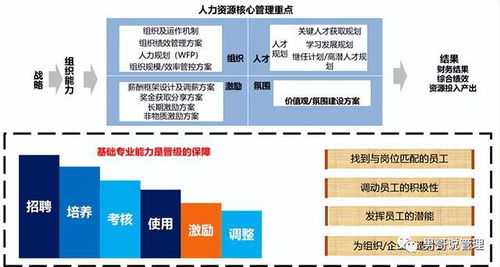 揭秘华为人力资源管理的面纱